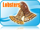 Lobsters products