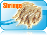 Shrimps products